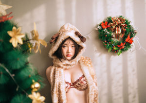 【福祉COS】モデルワイルドリリー-クリスマス