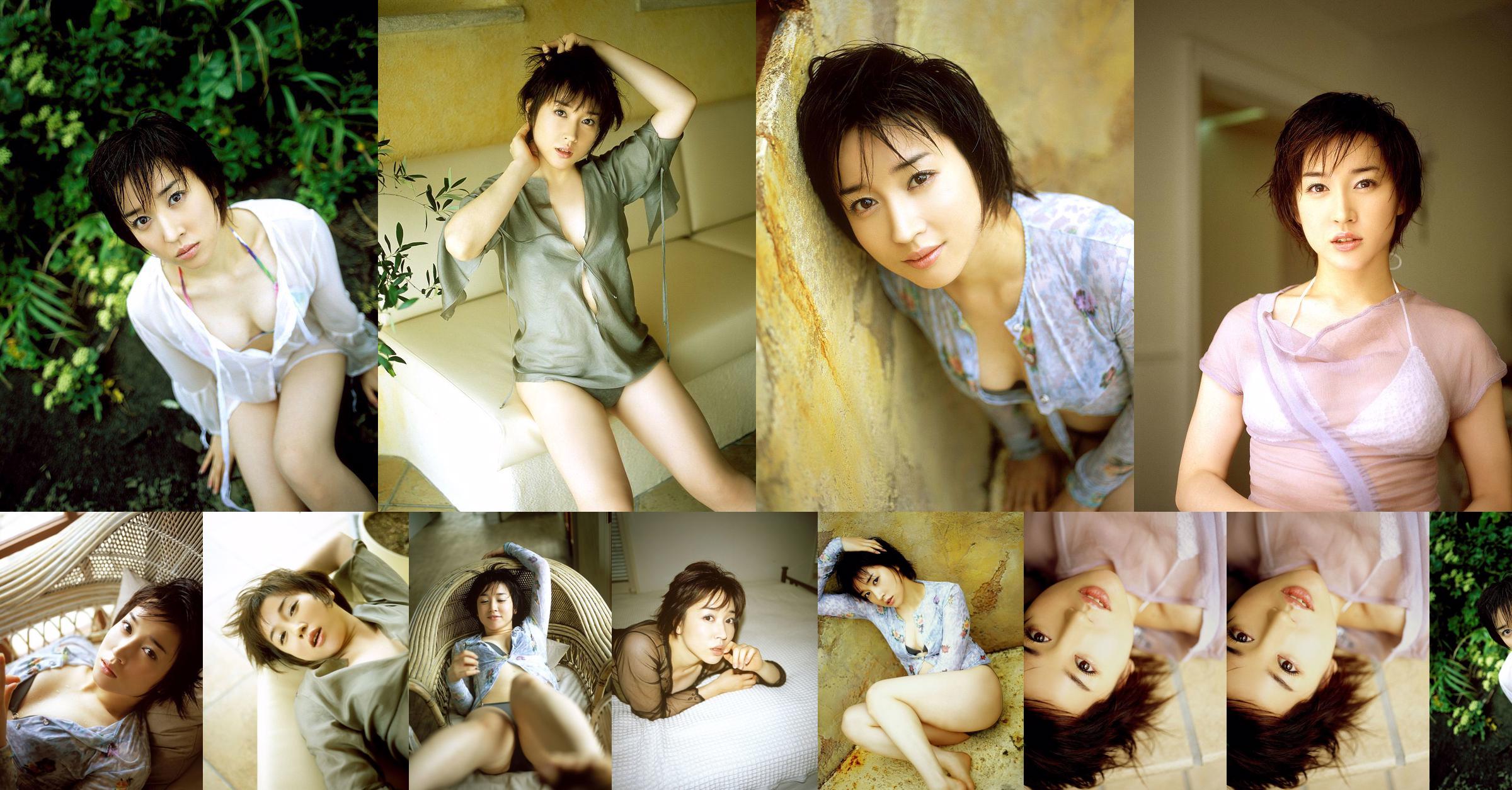 [NS Eyes] SF-No.264 Sayaka Kuon 久远さやか No.056cb3 หน้า 1