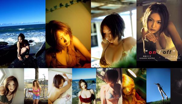 Noriko Sagara Nombre total d'albums photo 4