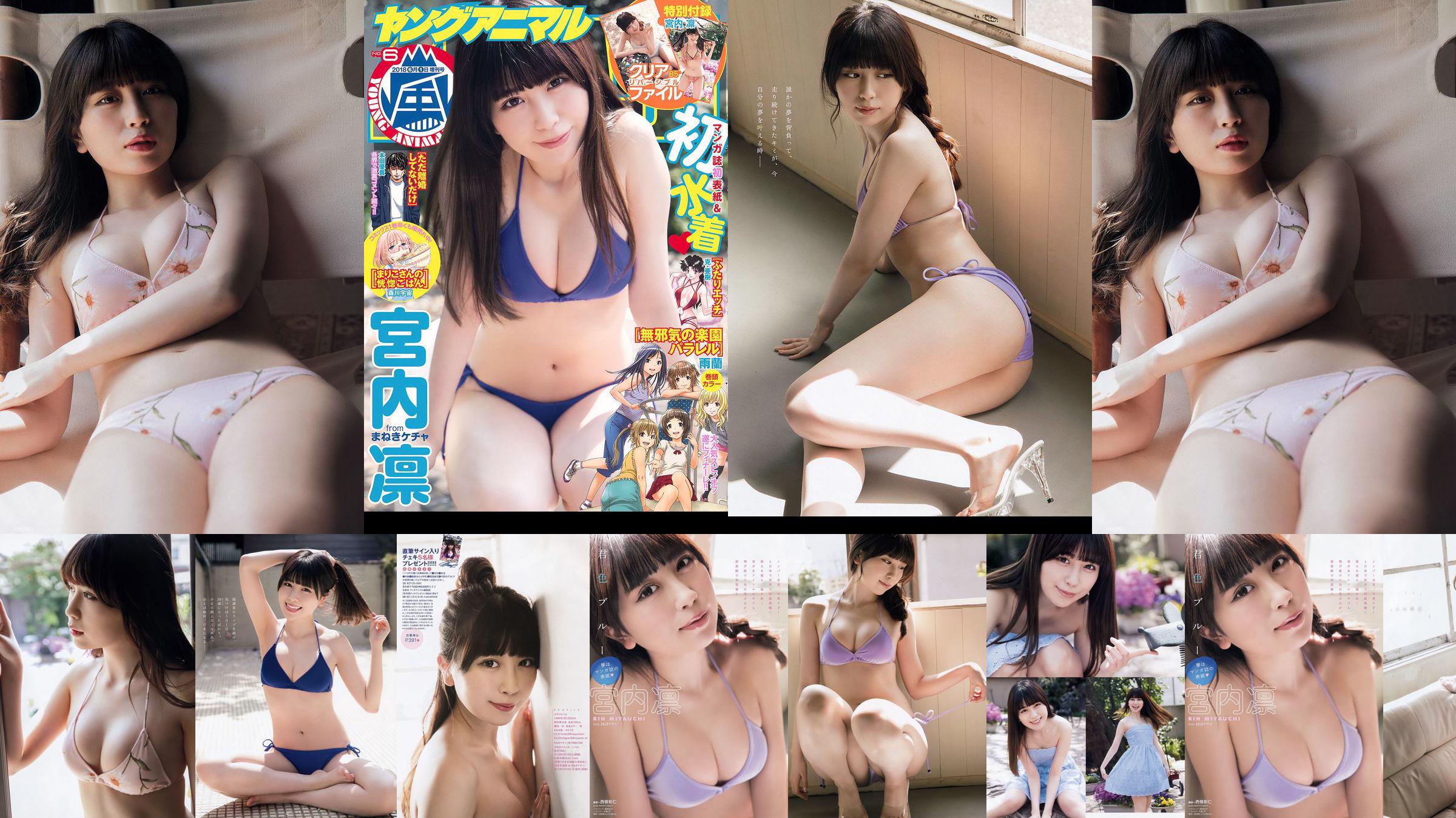Rin Miyauchi [Young Animal Arashi] Arashi Special Issue 2018 nr 06 Photo Magazine No.54578f Strona 1