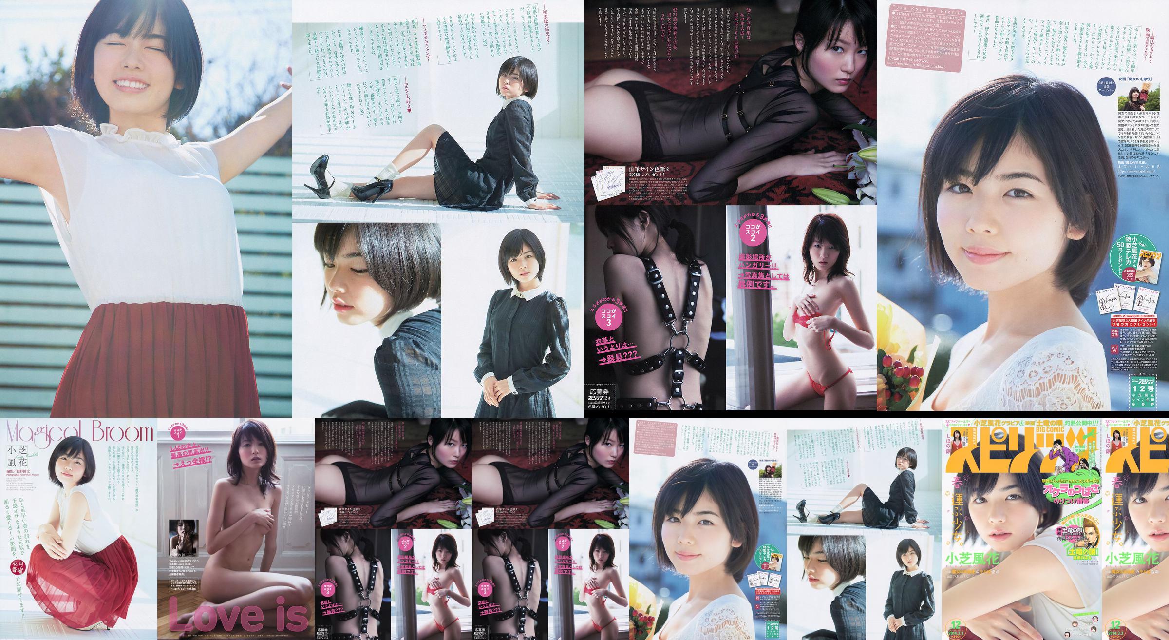 [주간 빅 코믹 스피릿] Xiaoshiba Fuhua し ほ の 凉 2014 No.12 Photo Magazine No.5df7ab 페이지 1