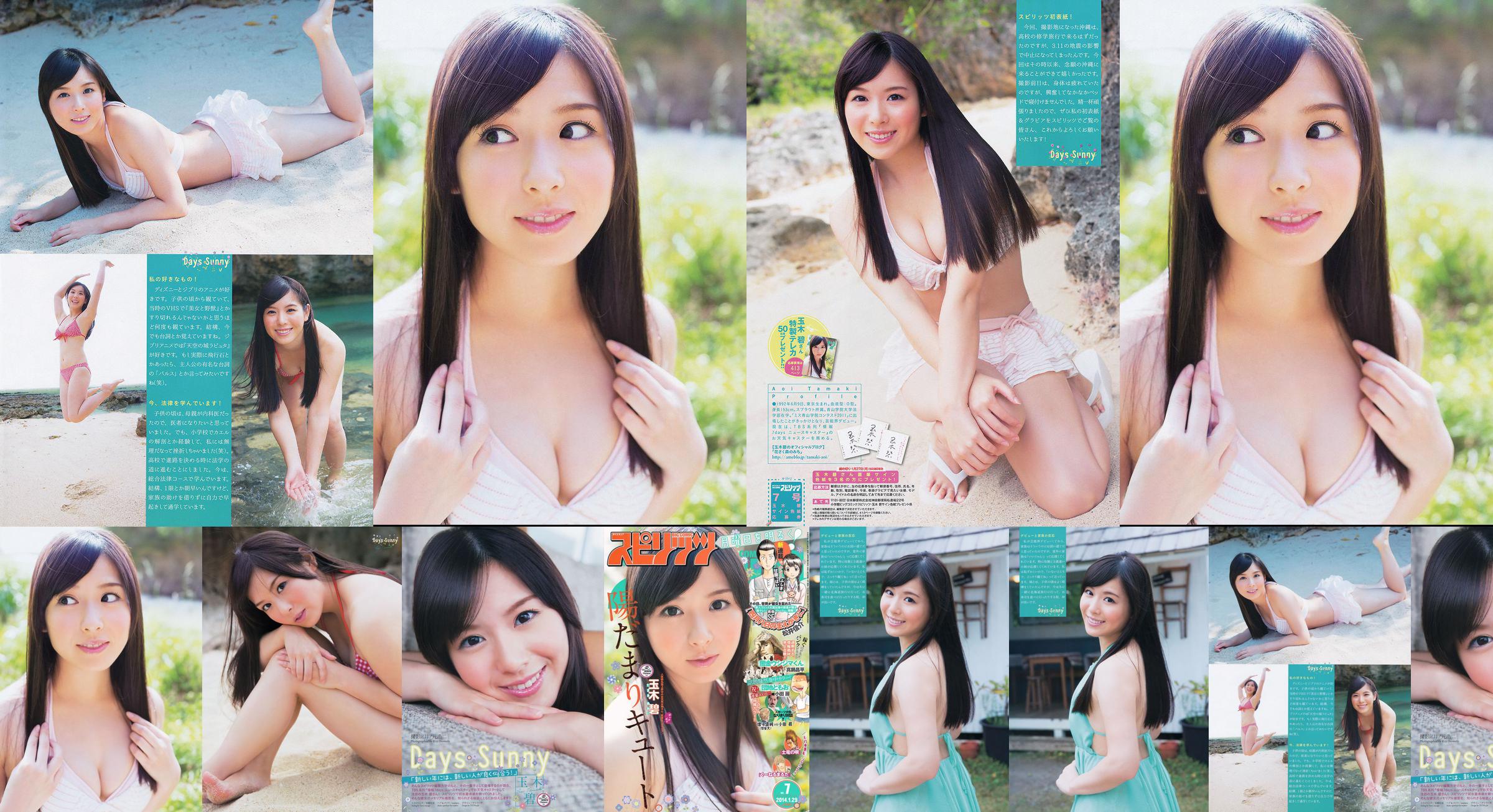 [Weekly Big Comic Spirits] Tạp chí ảnh Tamakibi 2014 No.07 No.00324b Trang 2